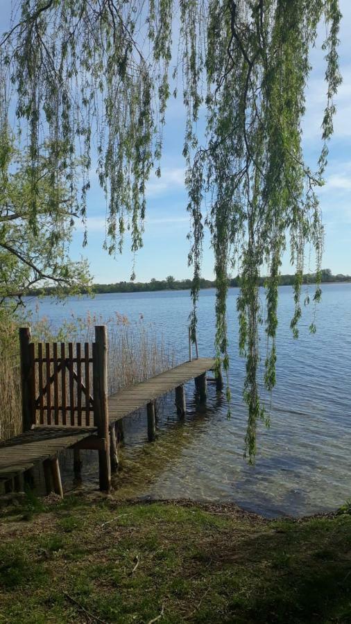 Am Schaalsee